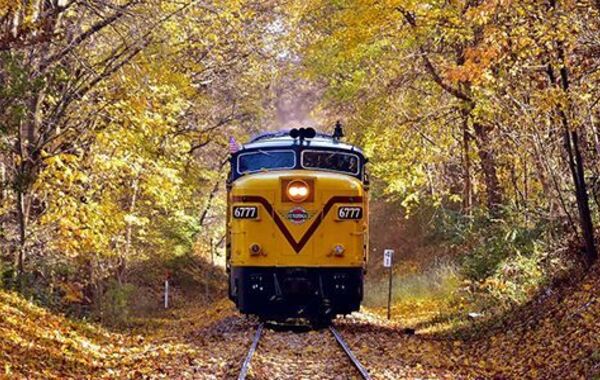 fall-train-rides