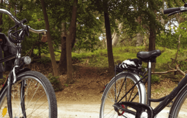 tips-to-get-your-bike-ready-for-the-season